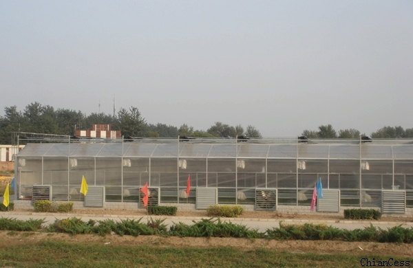 �r��Ժ�^����� ꖹ�����