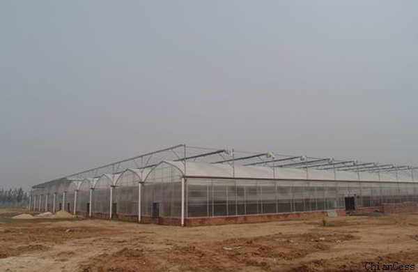 ꖹ�����B���� ꖹ�����B�Ƶ� ꖹ�����B�͏d