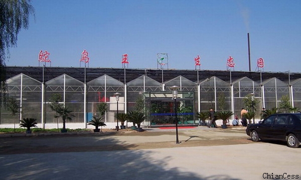 ꖹ�����B�Ƶ�