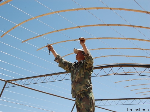 陽光板溫室建設現場 陽光板溫室建設現場