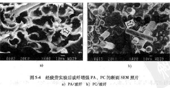 �D5-4��ƣ�ڌ����w����������Ĕ���SEM��Ƭ