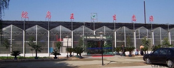 ��©ꖹ�弰U���i��ꖹ�尸��չʾ�D