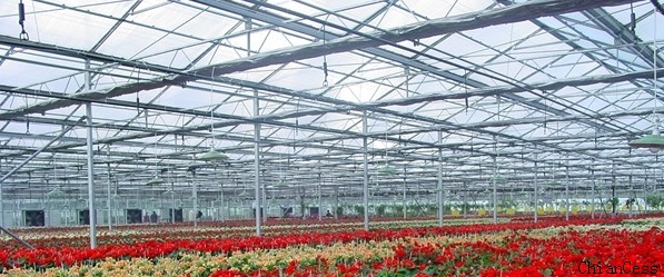 ɽ�|�I��pcꖹ�����չʾ�^