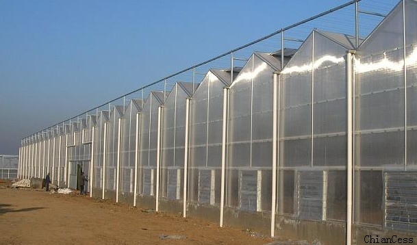 寧波奉化觀光陽光板溫室現場展示圖 寧波奉化觀光陽光板溫室現場展示圖