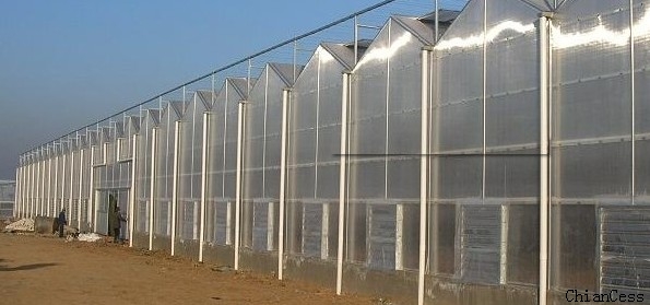 8mmꖹ�����ڜ��Ҳɹ�픵�չʾ�D