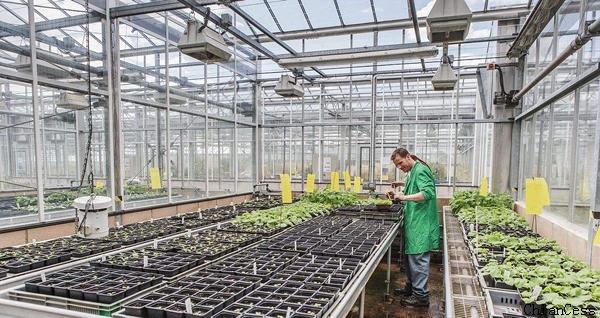 ���Ҍ���ꖹ���ڬF���r�I�еđ���չʾ�D