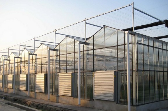 陽光板溫室施工中應(yīng)注意的五大突出問題